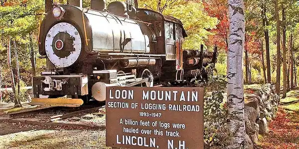 90 Loon Mountain Road
