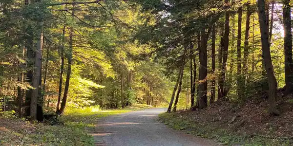 Turnpike Road South