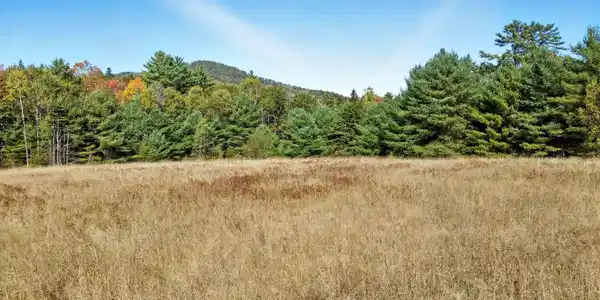 Image 3 Image 3