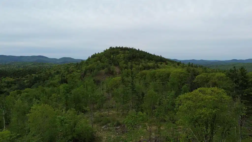 Image 1 Image 1