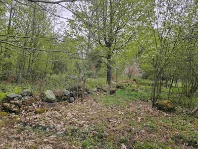 1953 Lot 1 Lapland Road