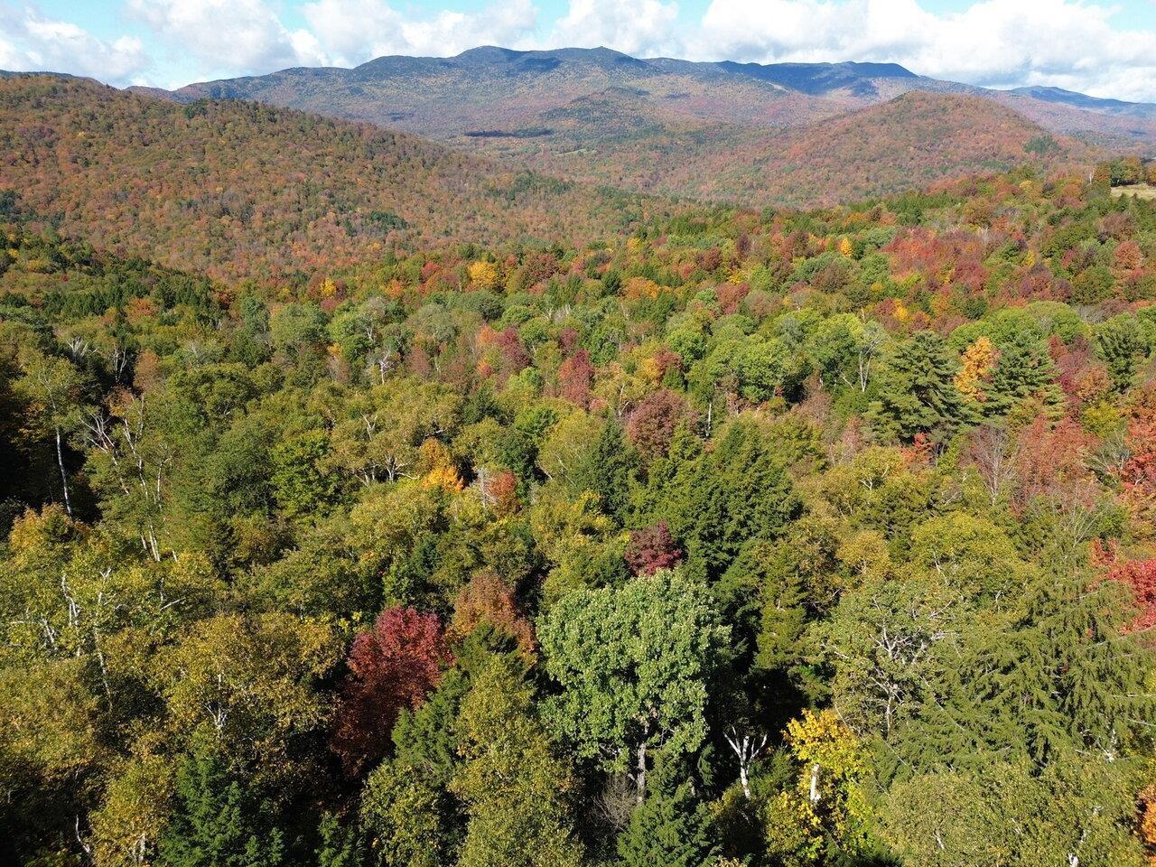 Image 1: Views Toward Mt Ellen