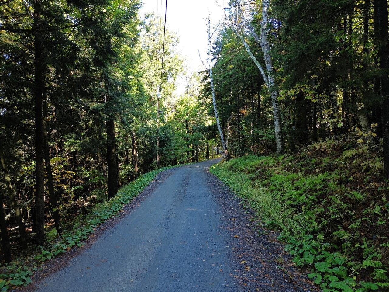 Image 2: Dead-End Road
