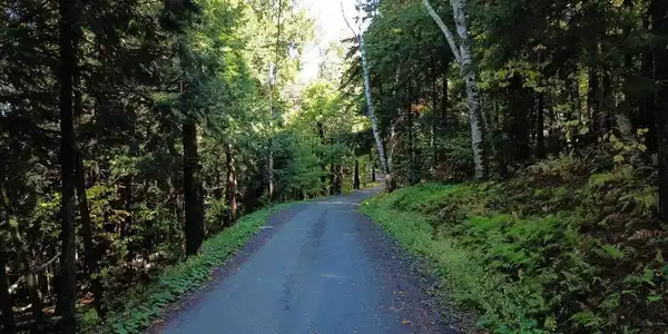 Image 2: Dead-End Road