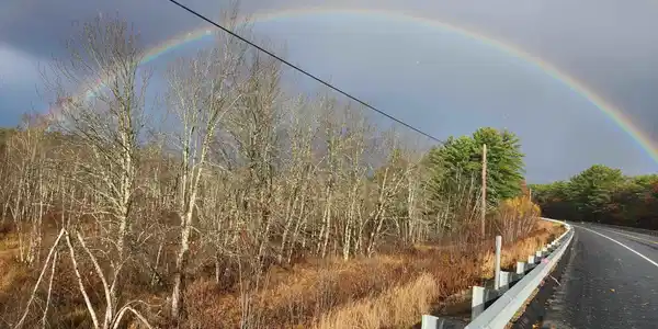 19 White Mountain Highway