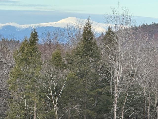 Image 2: Mount Washington November 2025