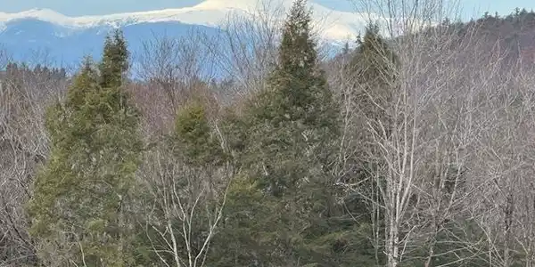 Image 2: Mount Washington November 2025