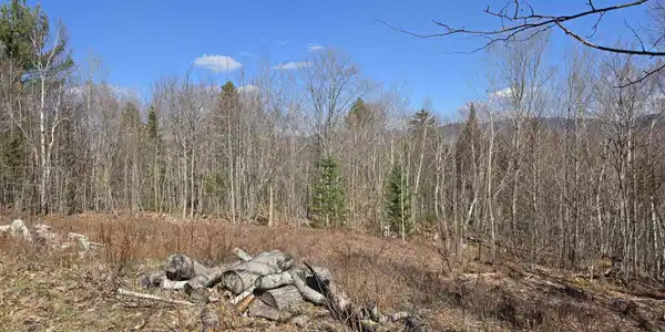 Cates Hill Road