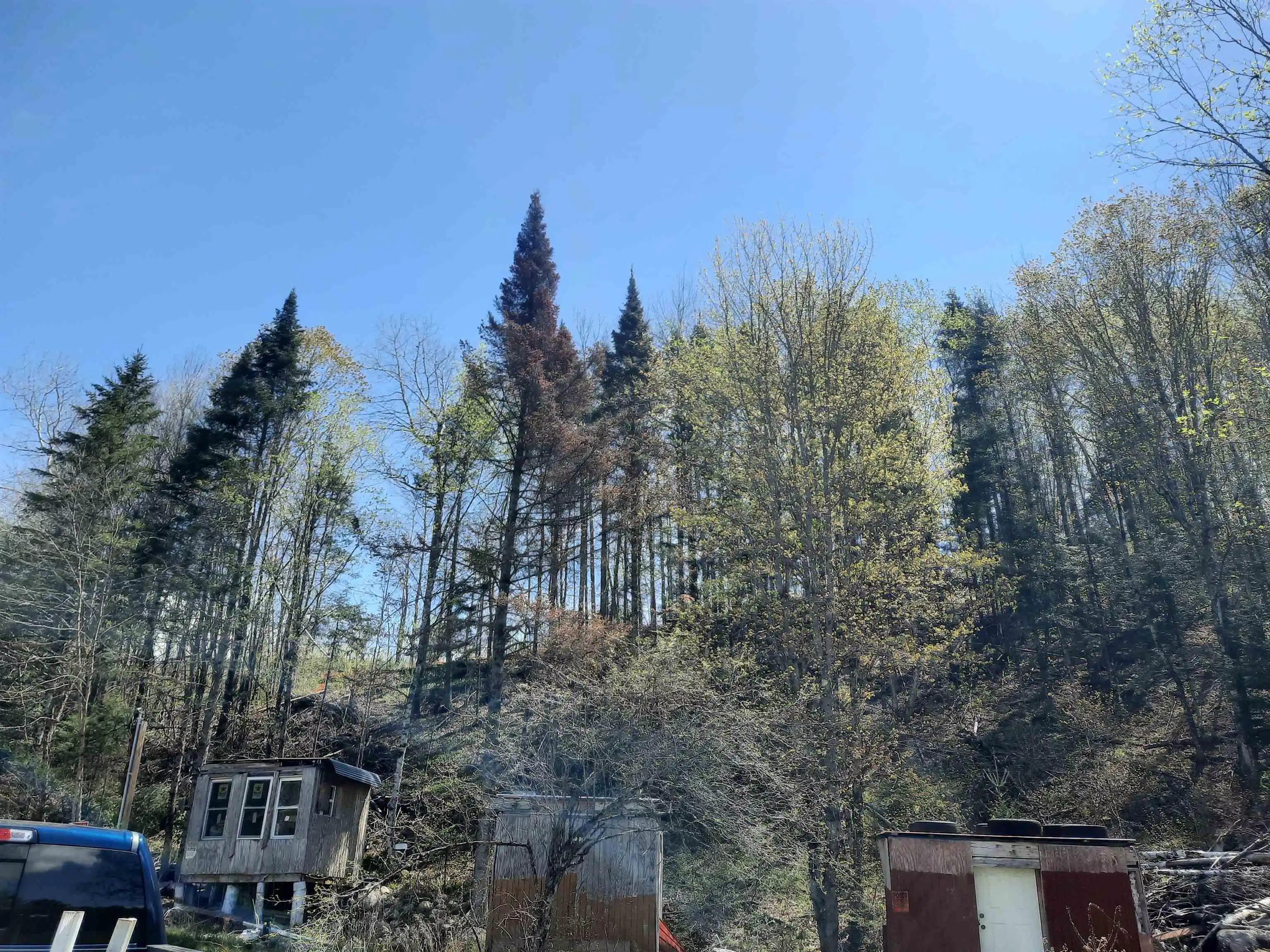 Image 1 Image 1