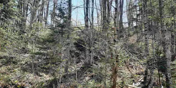 Image 3 Image 3