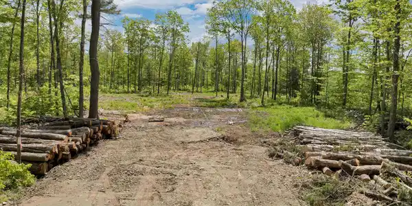 0 Trask Mountain Road