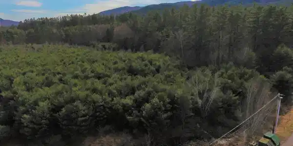 Image 2 Image 2