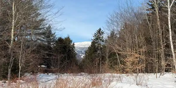 Image 2: Peek-a-boo Mt. Mansfield View