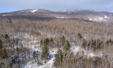 Lot 1 Timber Creek Road