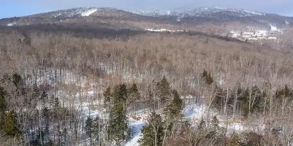 Lot 1 Timber Creek Road
