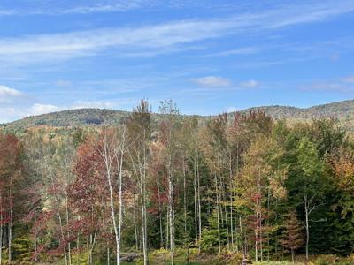 2364 mountain Road