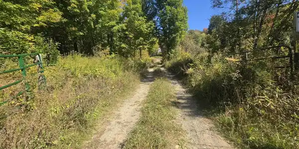 Image 4: Gated road/drive