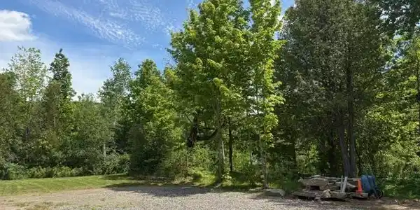Image 3 Image 3