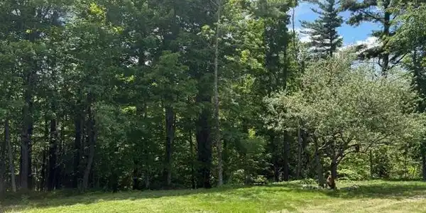 Image 4 Image 4