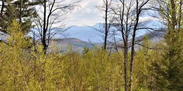 High Cliffs Circle and Skyline Drive
