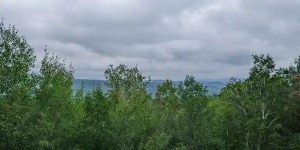 Image 4: View from Condo