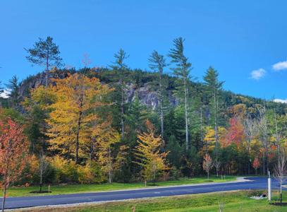 9 Lucy Brook Road