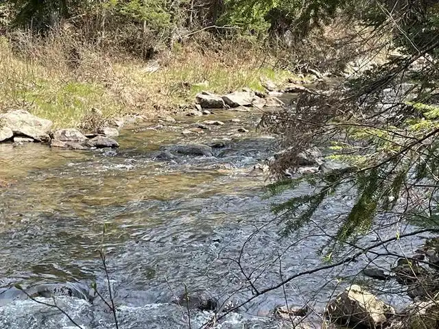 Image 1 Image 1