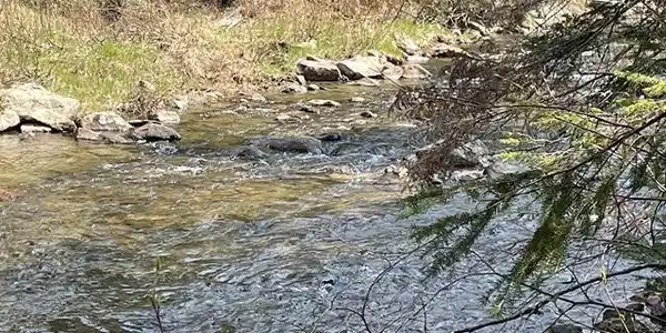 Simms Stream Road