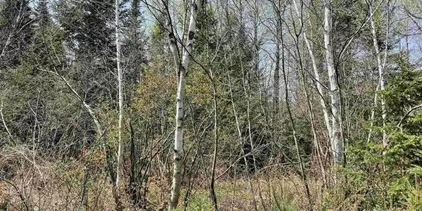 Image 2 Image 2