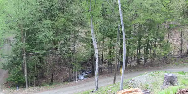 Image 2: View of the brook