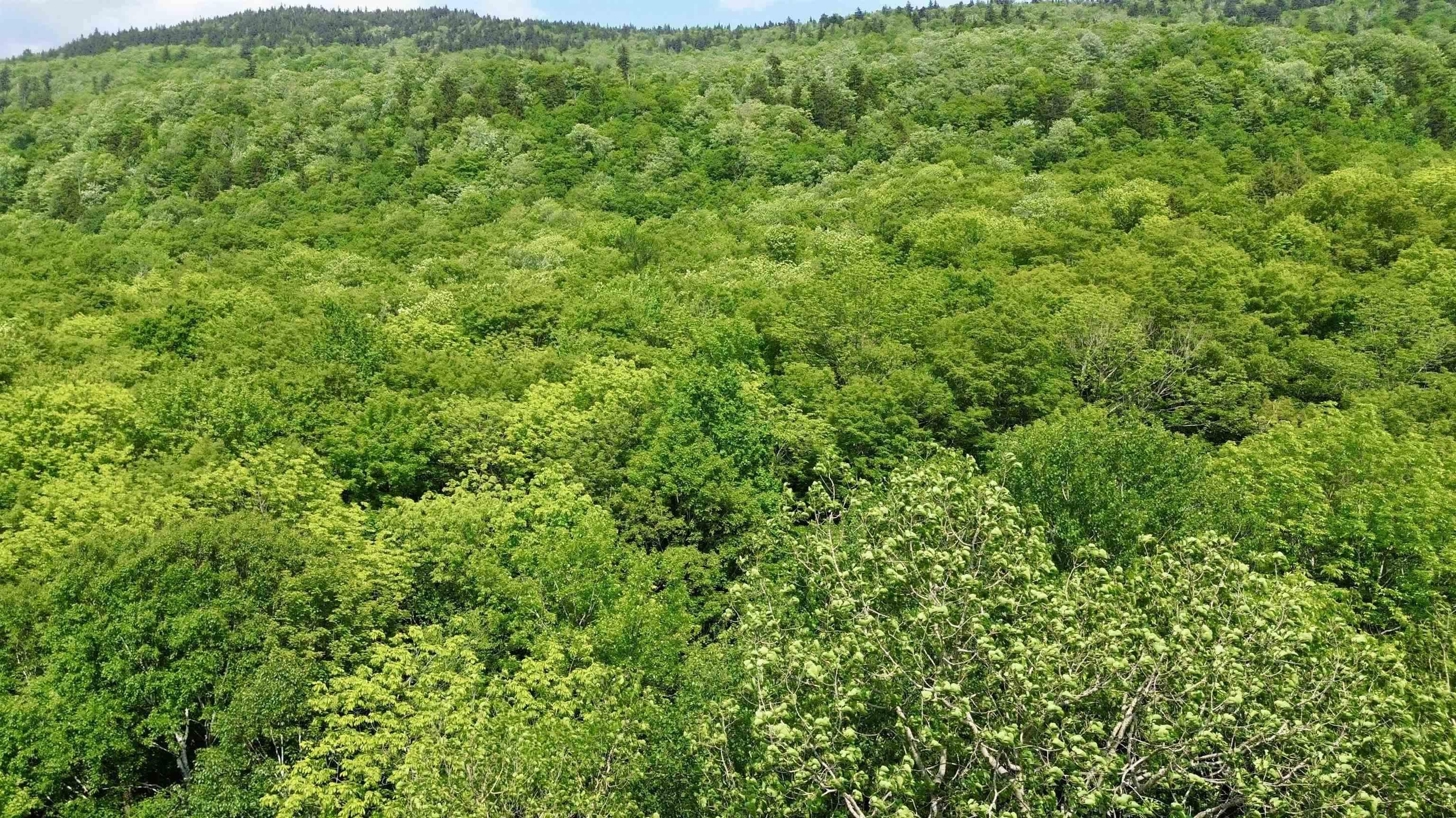 Image 3 Image 3