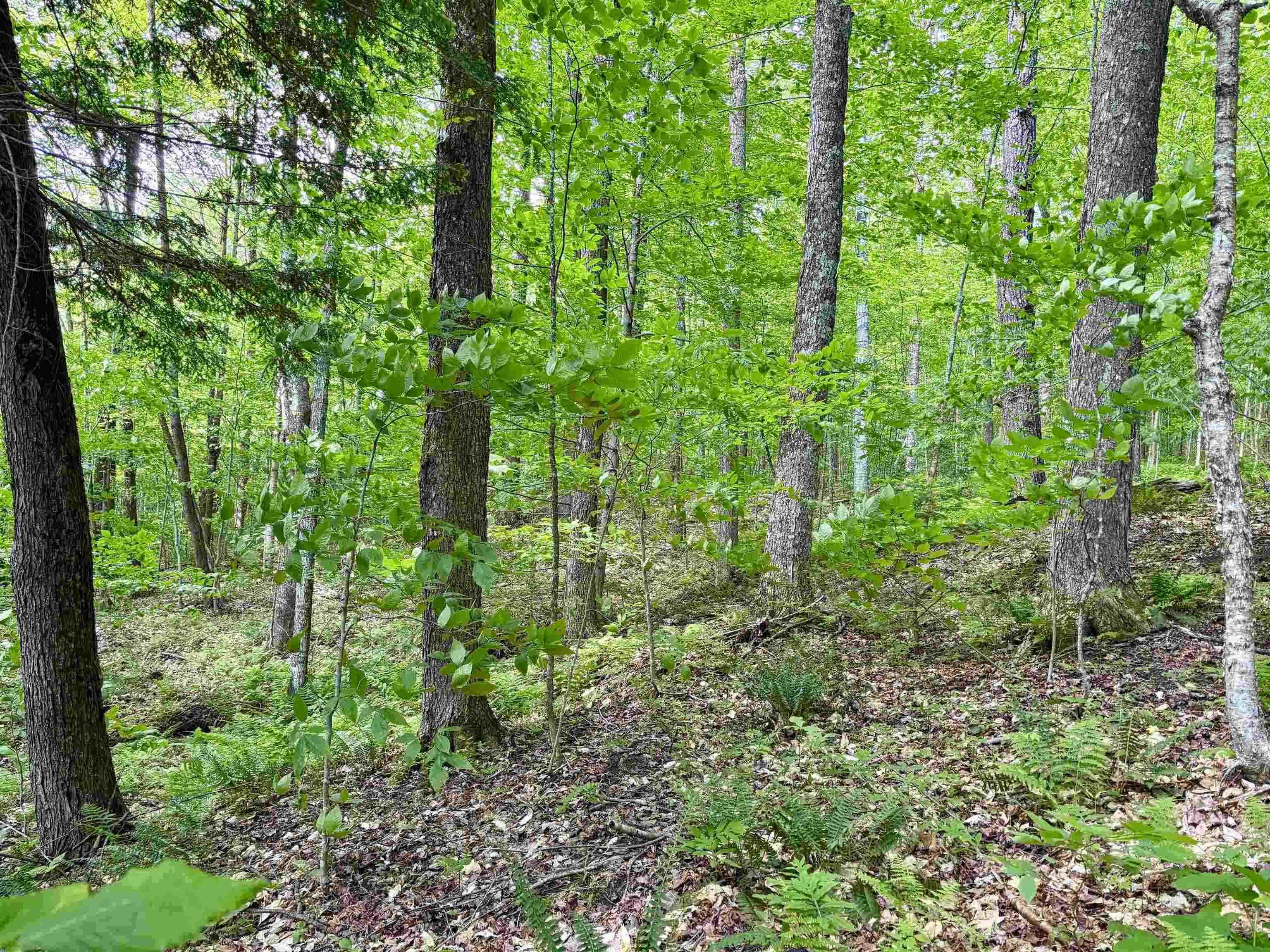 Image 4 Image 4