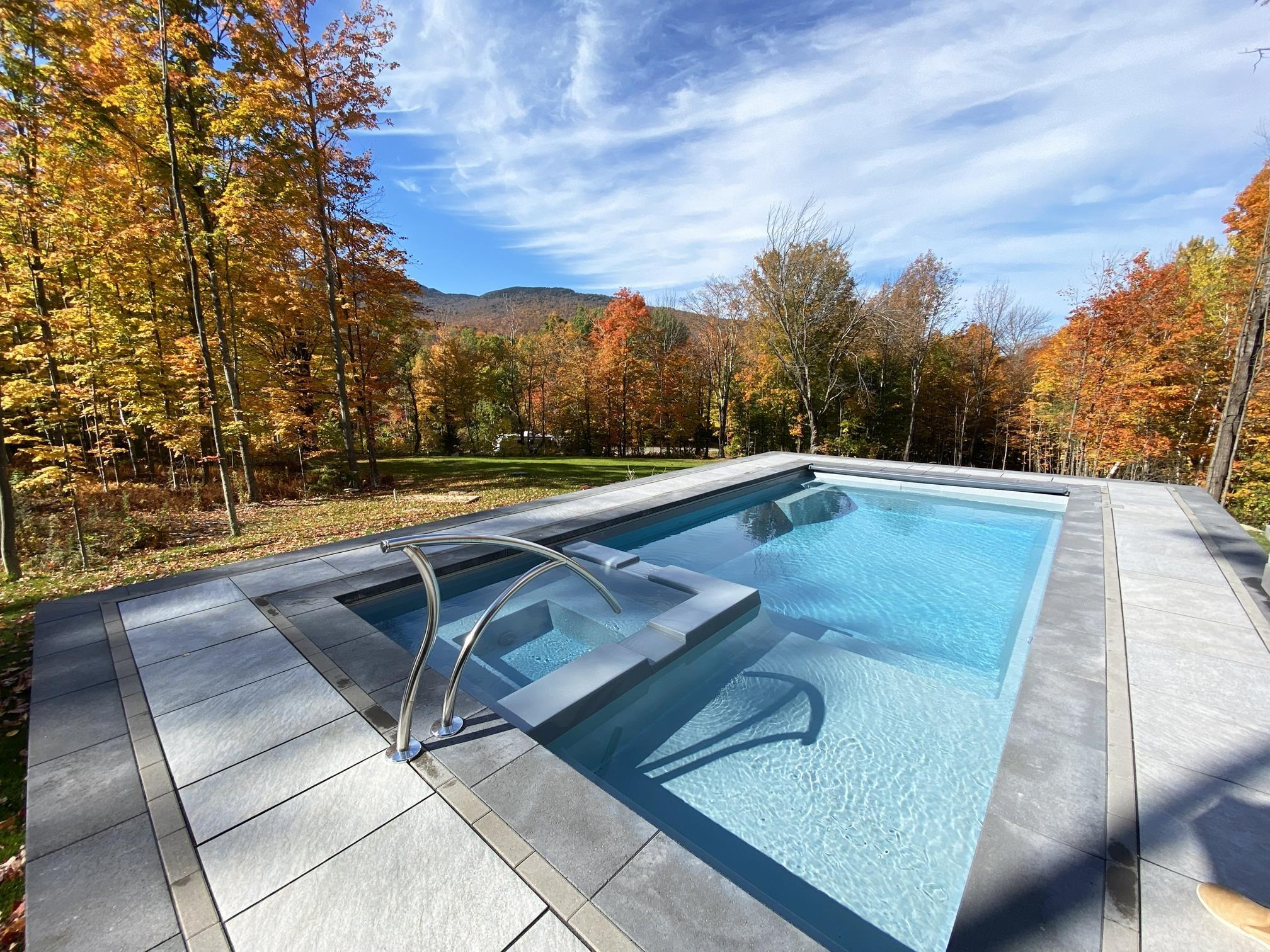 Image 4: Hot Tub & Plunge Pool