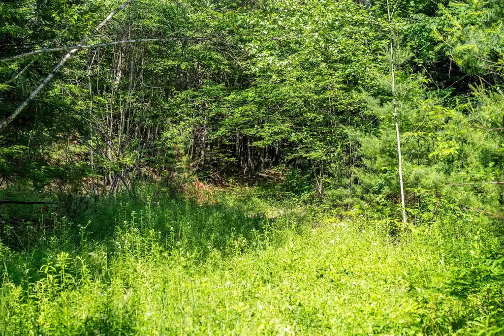 Image 1 Image 1