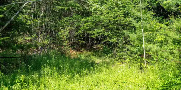 Lot 4.2 Tommy Lot Road