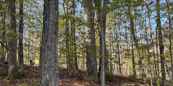 Map 227 Lot 007 Underwood Road