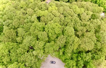 LOT 12 Barrows Towne Road