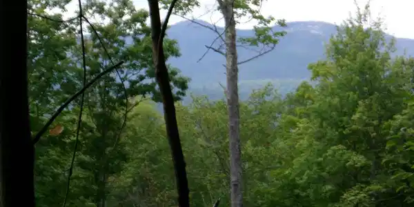 Image 2: Views of Mt Cardigan