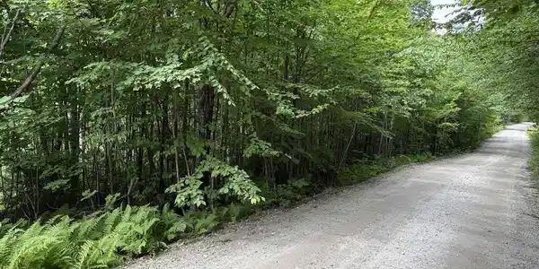 Image 3: on Perkins Hill Road