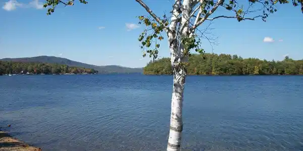 Image 4: Convenient to Newfound Lake,