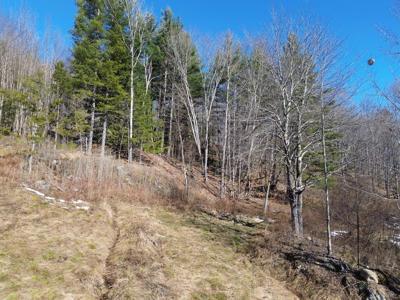 00 Bent Birch Lane