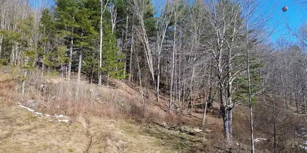 00 Bent Birch Lane