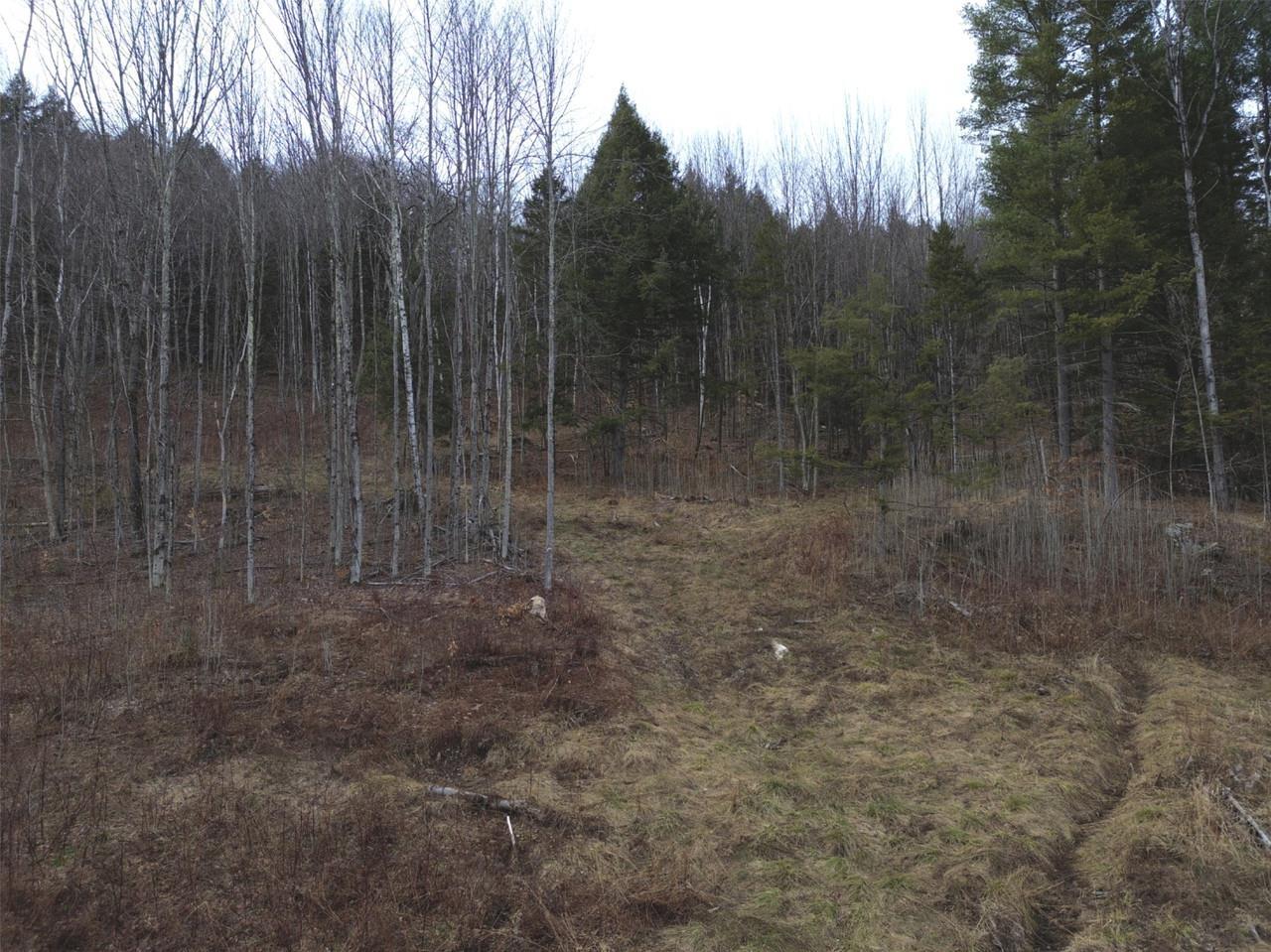 Image 4: Gentle slopes Image 4: Gentle slopes