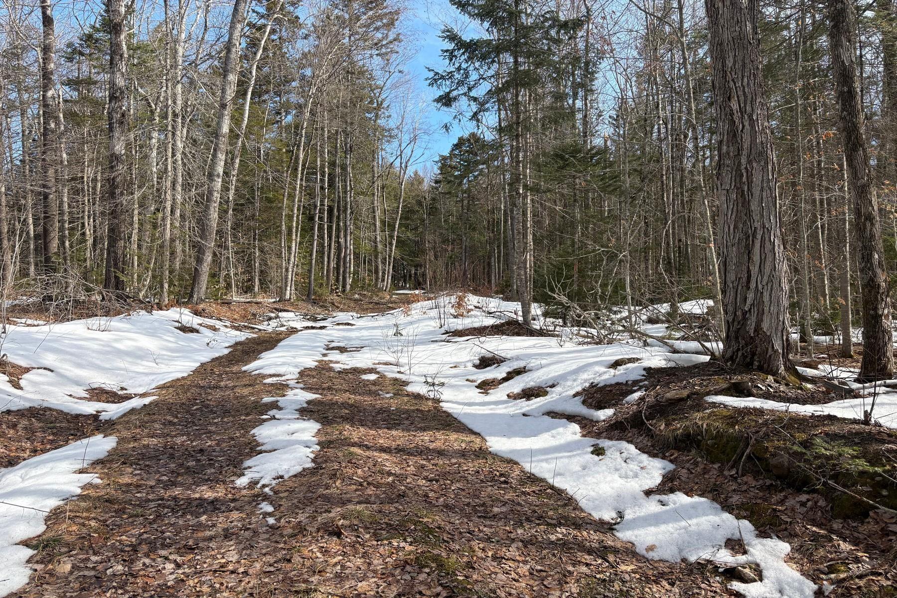 Image 3 Image 3