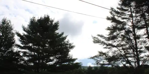 Image 3 Image 3