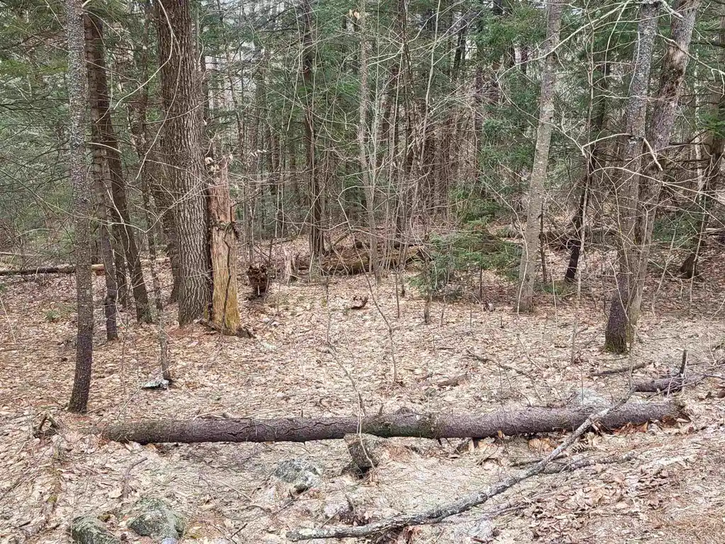 Image 1 Image 1