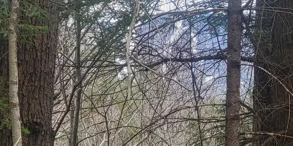 Image 4 Image 4
