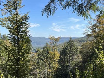 VT Route 100 South