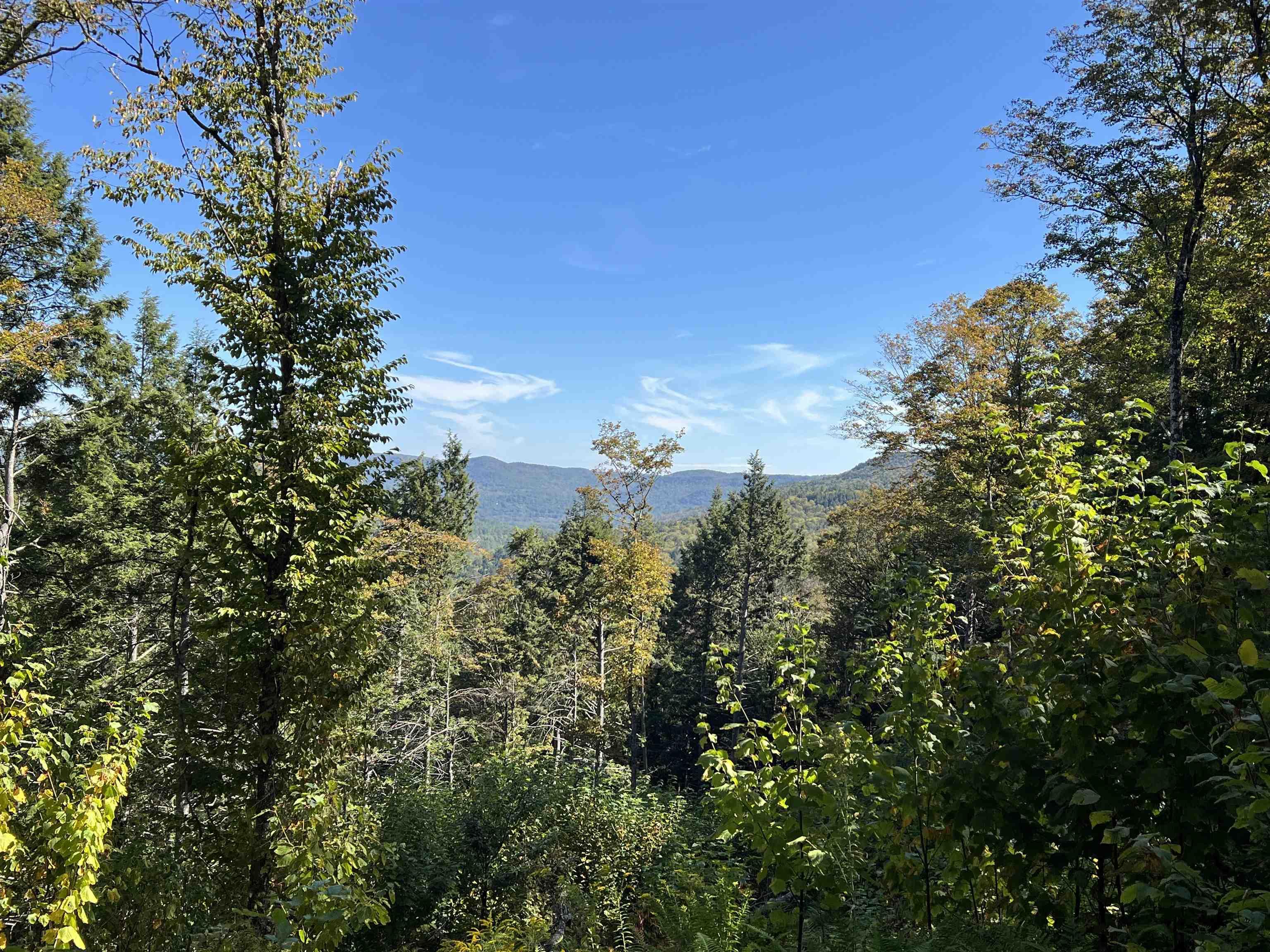 Image 3 Image 3