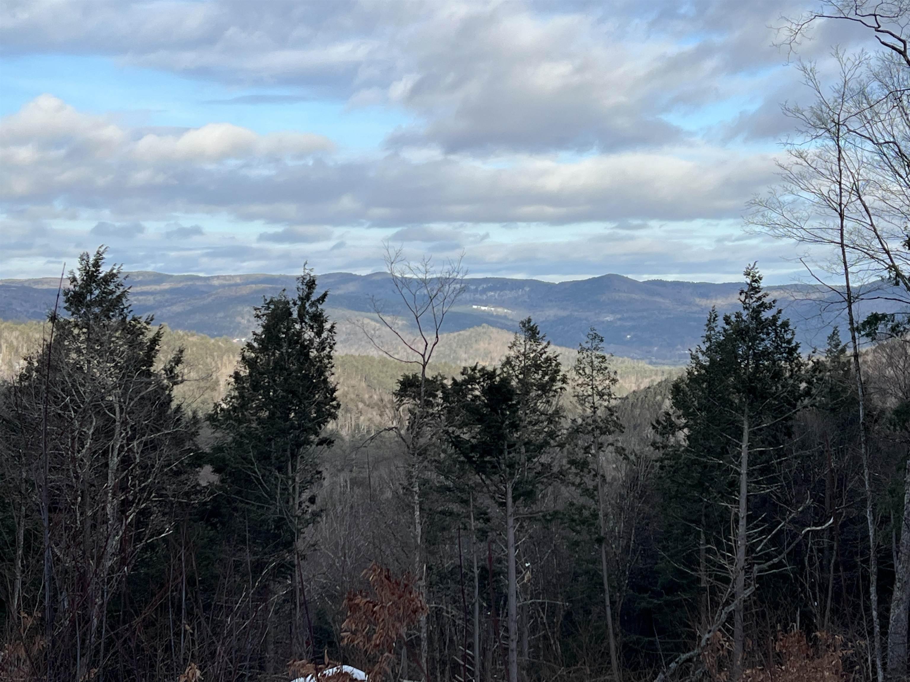 Image 4 Image 4